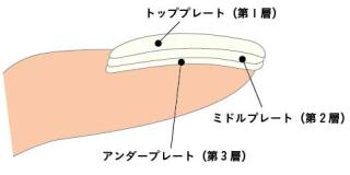 必読 自爪を削るジェルと削らないジェルの違い Carly Nail 岐阜県岐阜市の人気ネイルサロン スクールのカーリーネイル